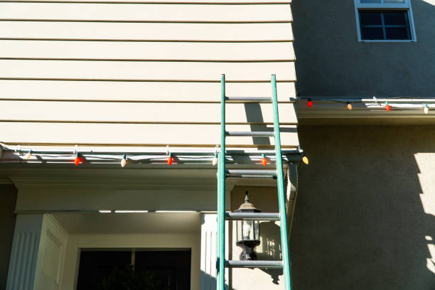 Best Demolition Debris Removal  in Avilla, IN