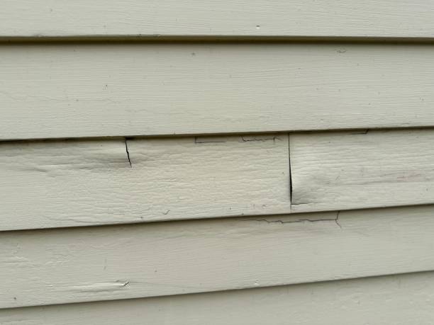 Best Furniture Removal  in Avilla, IN